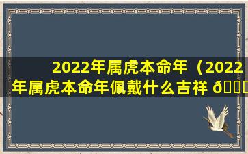 2022年属虎本命年（2022年属虎本命年佩戴什么吉祥 🐒 物）